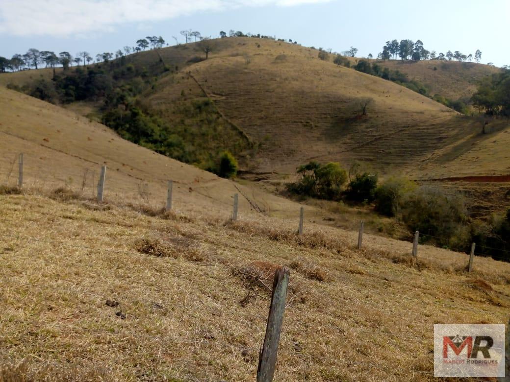 Fazenda de 48 ha em Cambuí, MG