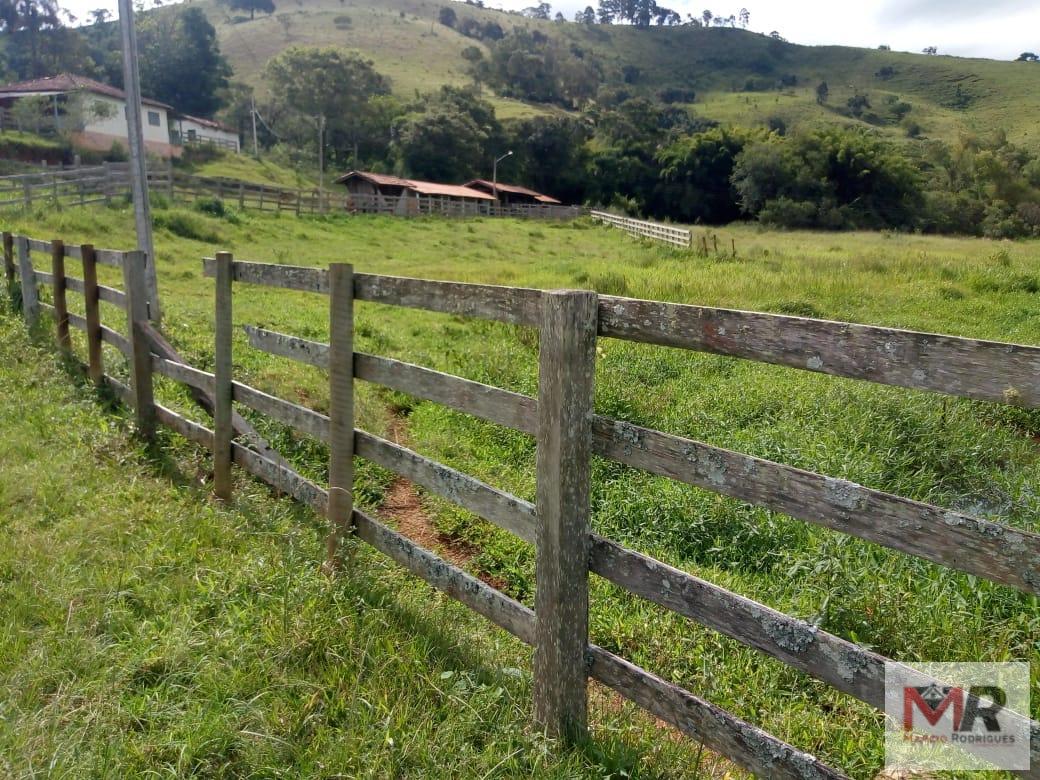 Fazenda de 48 ha em Cambuí, MG