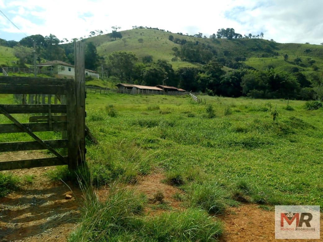 Fazenda de 48 ha em Cambuí, MG