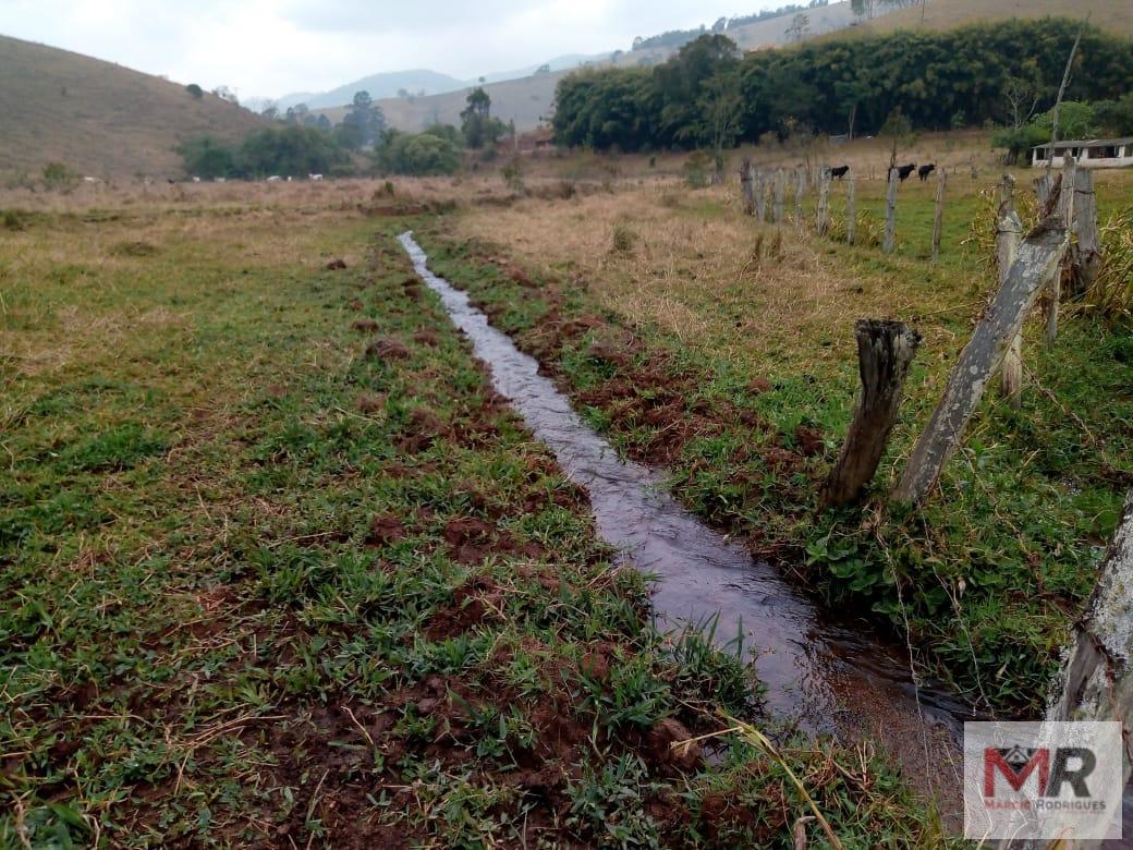 Fazenda de 48 ha em Cambuí, MG