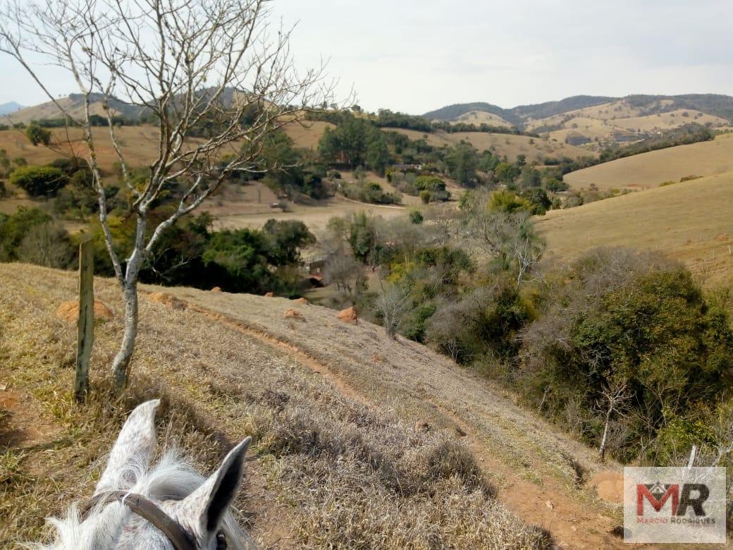 Fazenda de 48 ha em Cambuí, MG