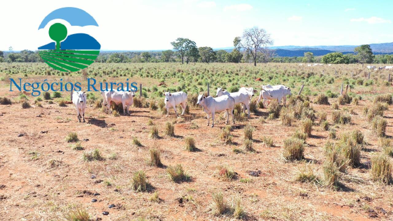 Fazenda de 493 ha em Montividiu do Norte, GO