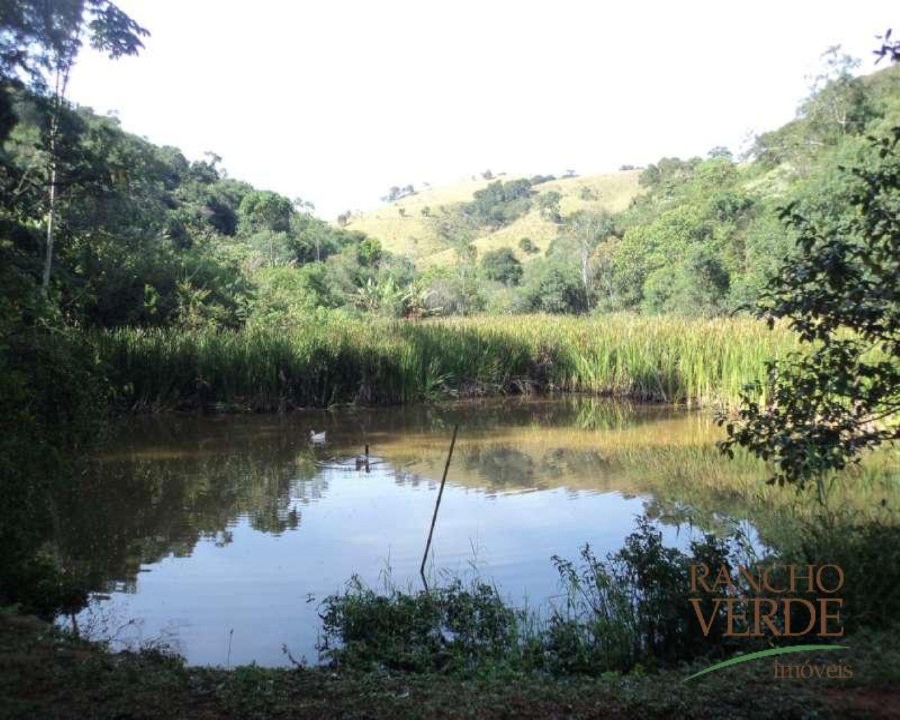 Sítio de 34 ha em Jambeiro, SP