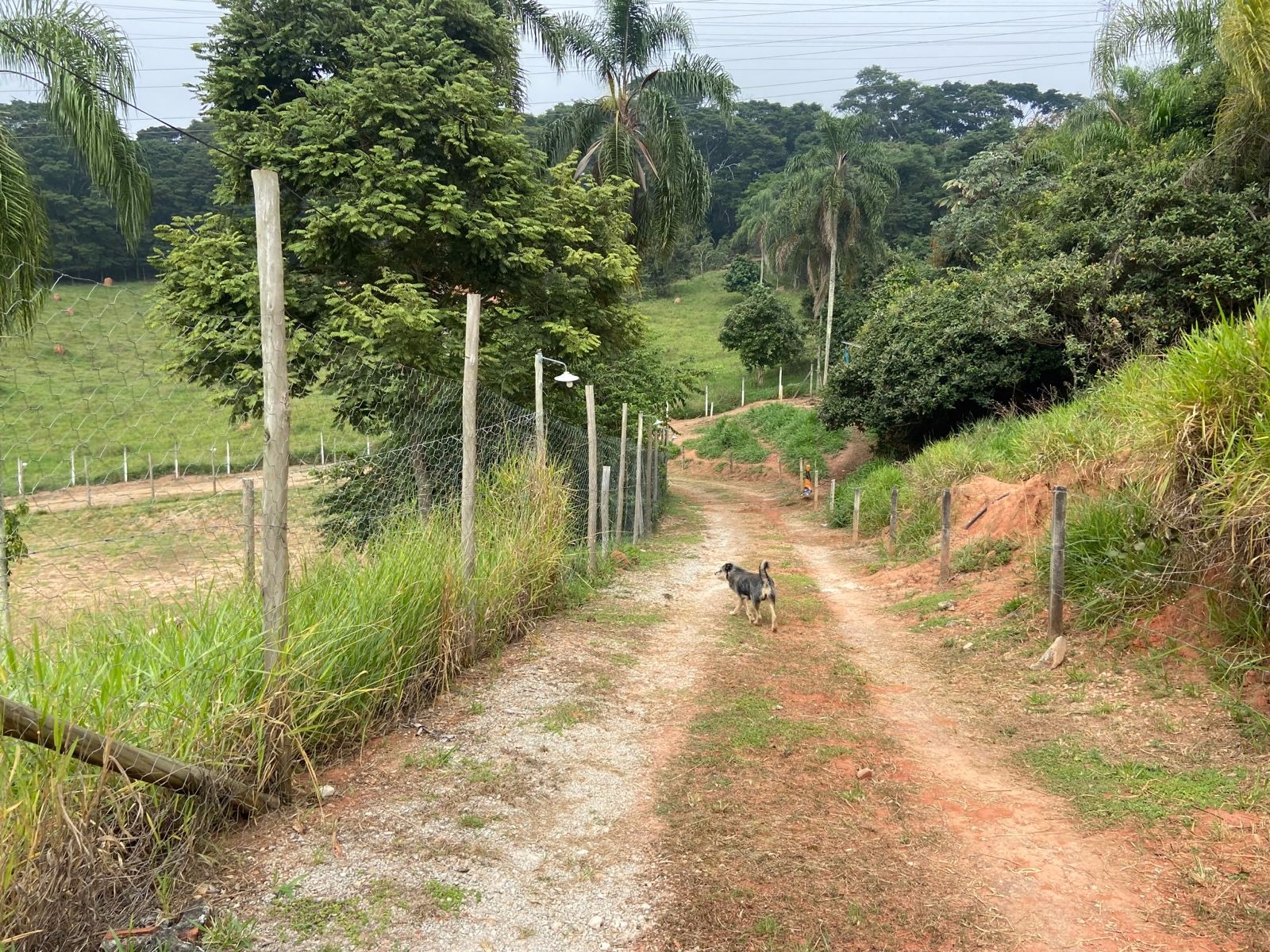 Chácara de 1.300 m² em Caçapava, SP