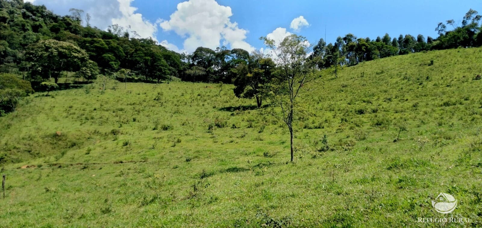 Terreno de 145 ha em Monteiro Lobato, SP