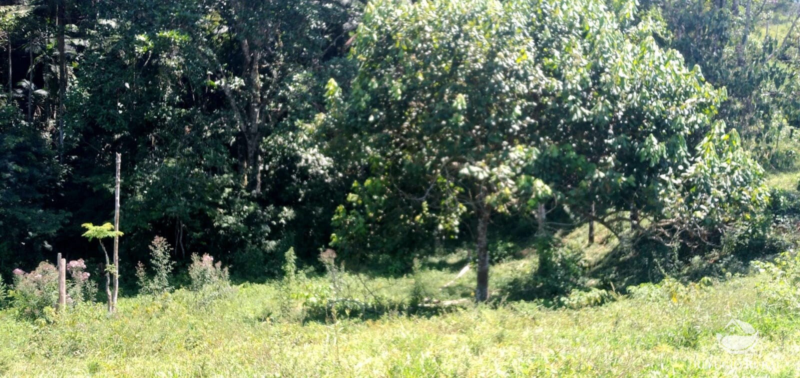 Terreno de 145 ha em Monteiro Lobato, SP