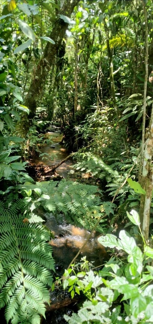 Terreno de 145 ha em Monteiro Lobato, SP