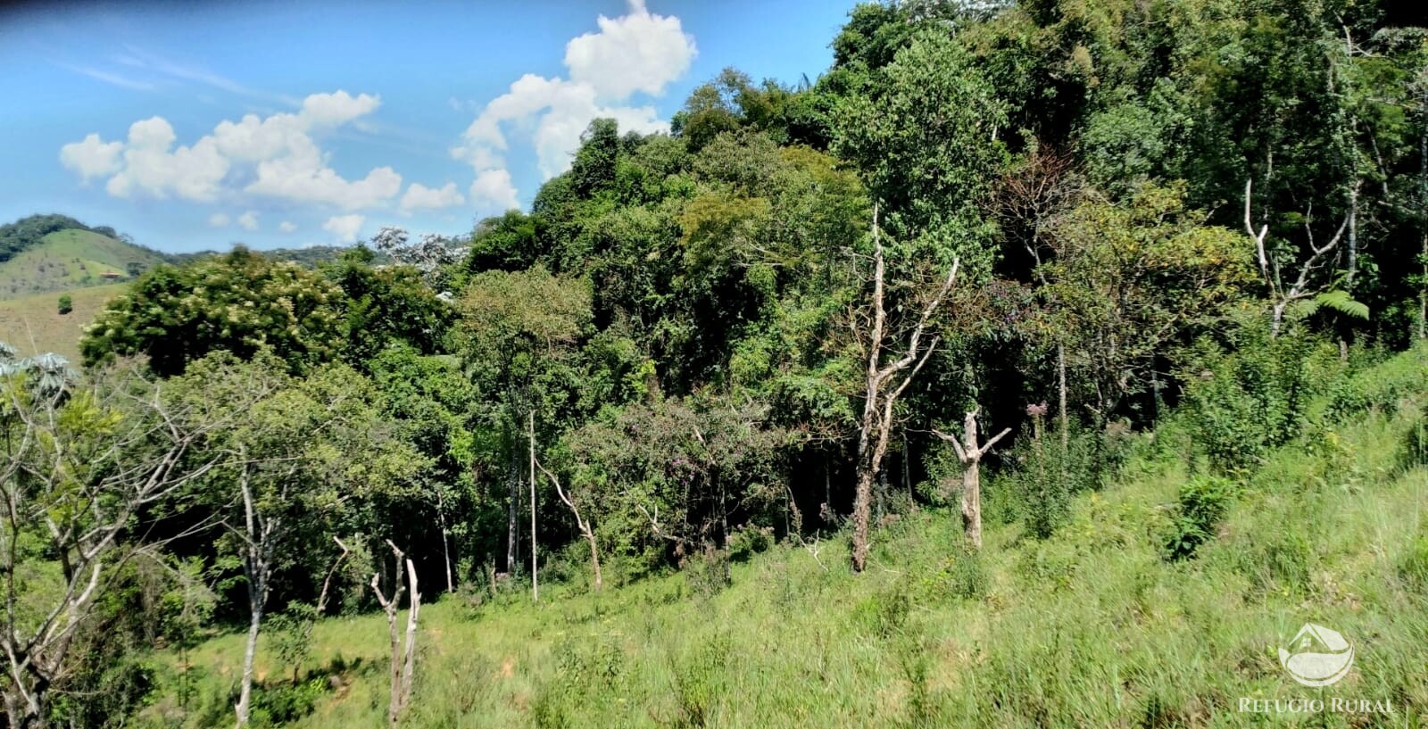 Terreno de 145 ha em Monteiro Lobato, SP