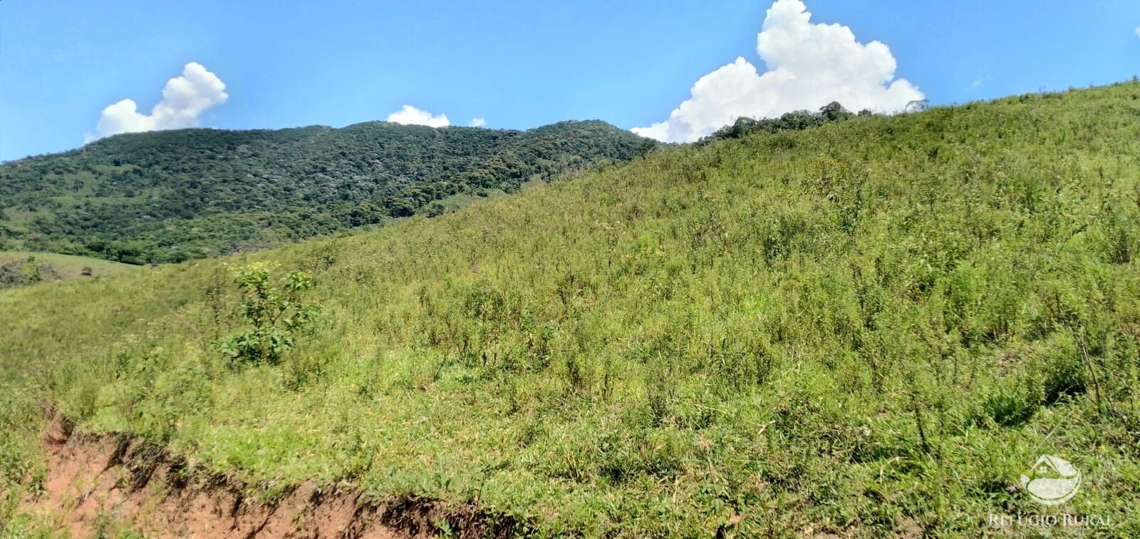 Terreno de 145 ha em Monteiro Lobato, SP