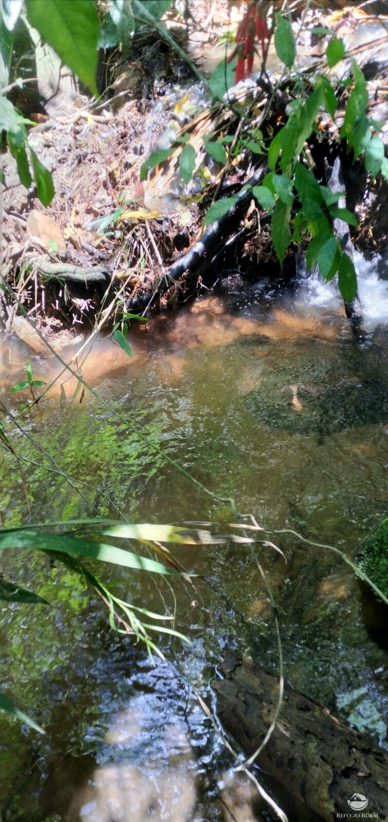 Terreno de 145 ha em Monteiro Lobato, SP