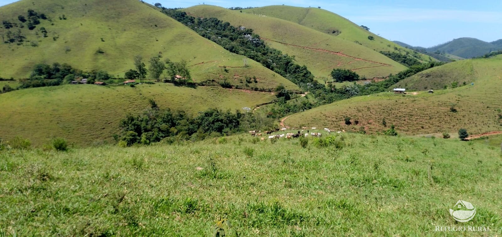 Terreno de 145 ha em Monteiro Lobato, SP