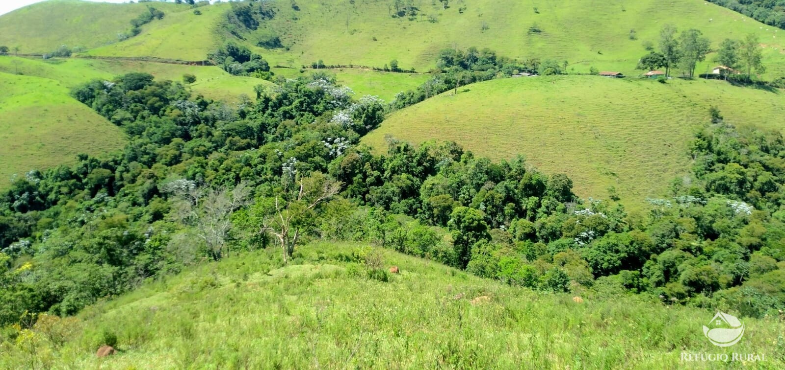 Terreno de 145 ha em Monteiro Lobato, SP