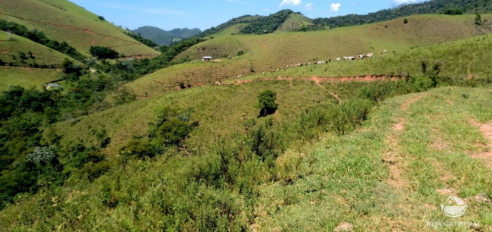 Terreno de 145 ha em Monteiro Lobato, SP