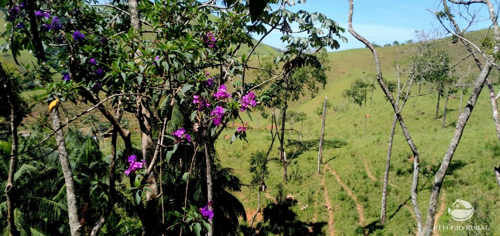 Terreno de 145 ha em Monteiro Lobato, SP