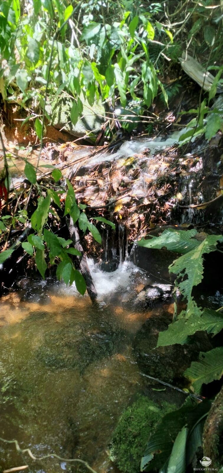 Terreno de 145 ha em Monteiro Lobato, SP