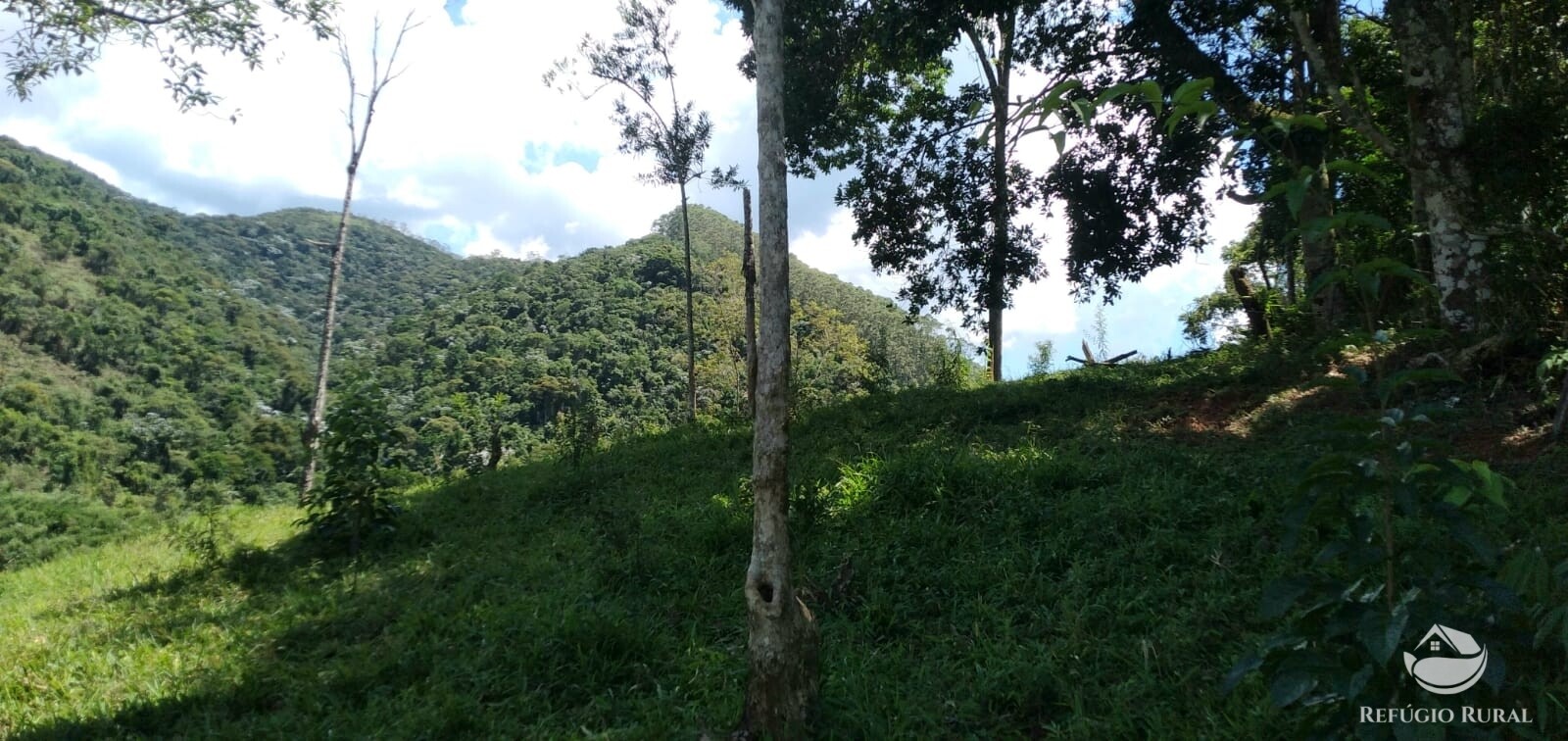 Terreno de 145 ha em Monteiro Lobato, SP