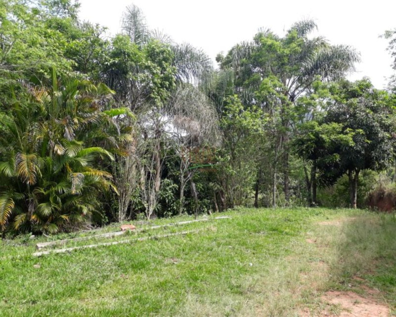 Sítio de 25 ha em Redenção da Serra, SP