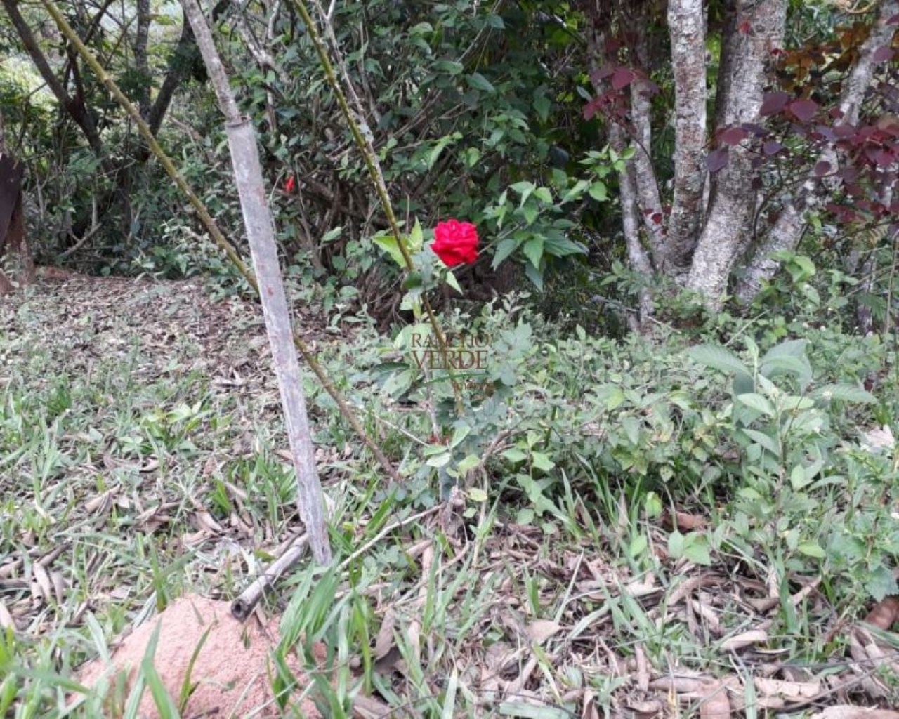 Sítio de 25 ha em Redenção da Serra, SP