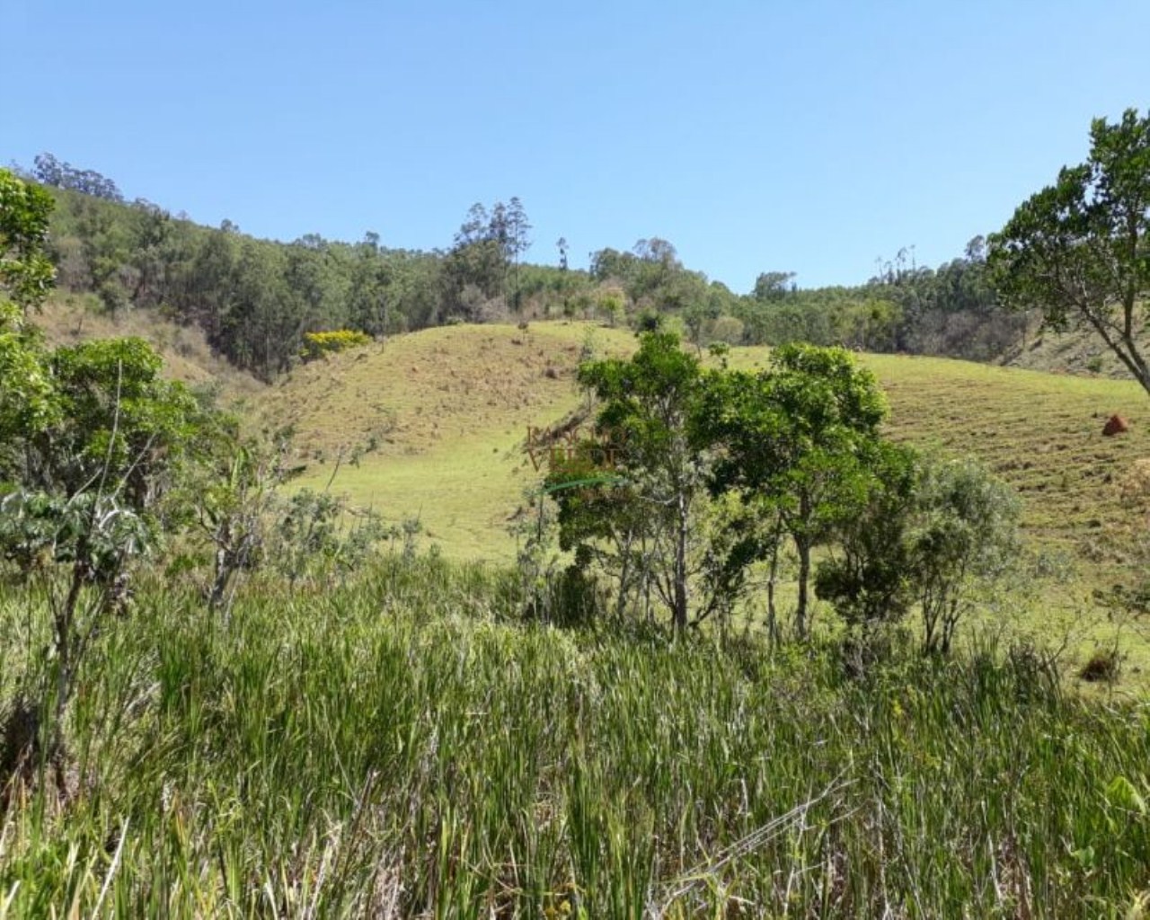 Sítio de 25 ha em Redenção da Serra, SP