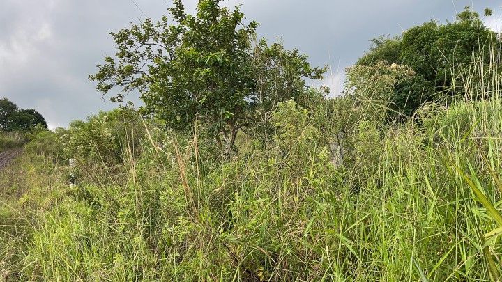 Chácara de 4.800 m² em Santo Antônio da Patrulha, RS