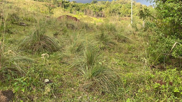 Chácara de 4.800 m² em Santo Antônio da Patrulha, RS