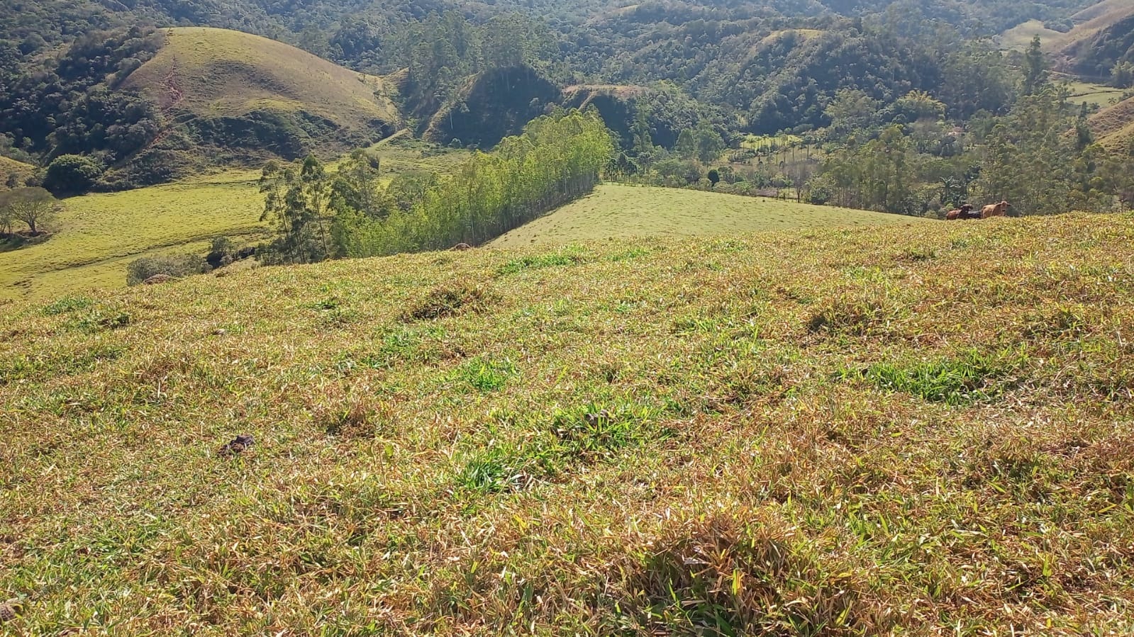 Chácara de 2 ha em São José dos Campos, SP