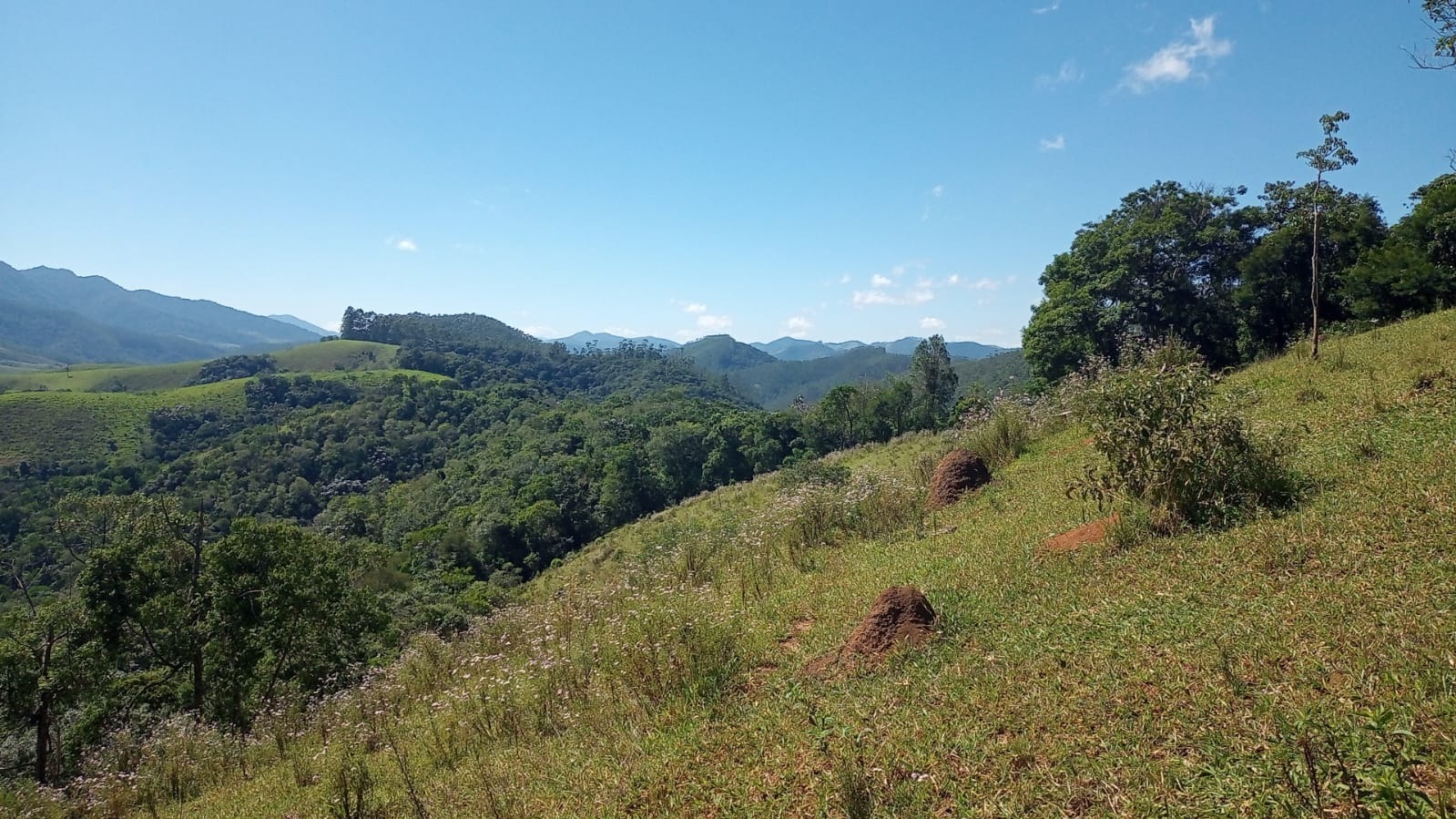 Terreno de 2 ha em São José dos Campos, SP