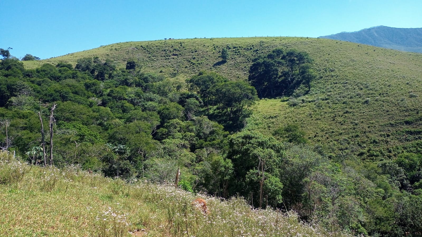 Terreno de 2 ha em São José dos Campos, SP