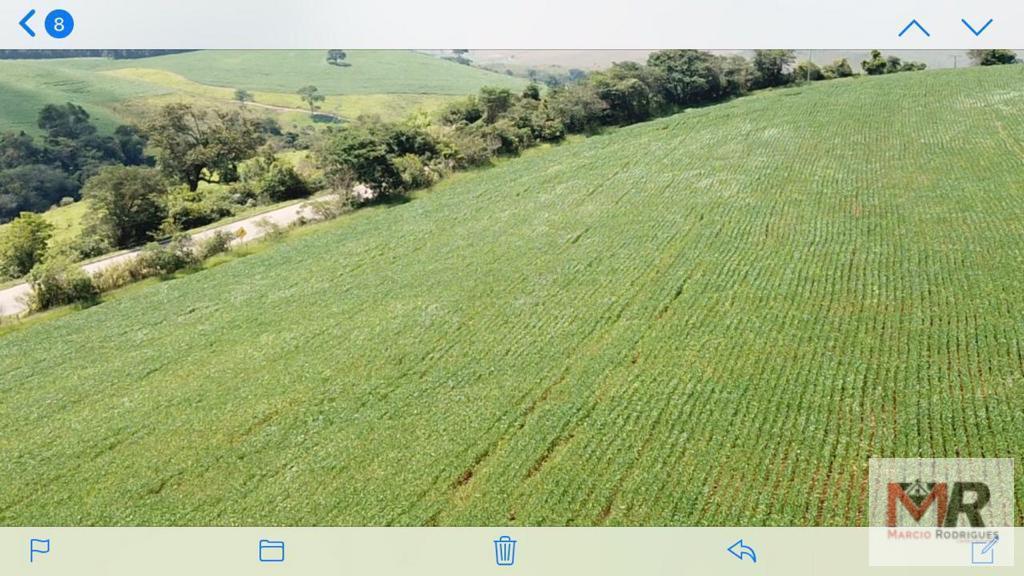 Fazenda de 440 ha em Minduri, MG