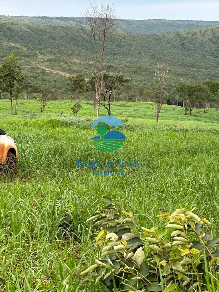 Fazenda de 484 ha em Pirenópolis, GO