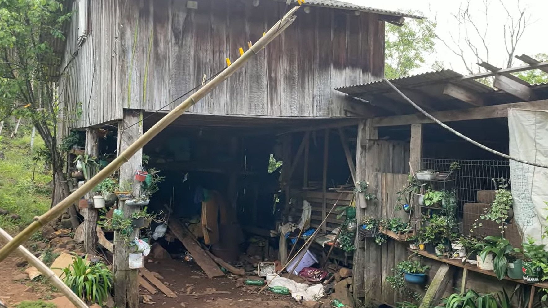 Chácara de 15 ha em Caraá, RS