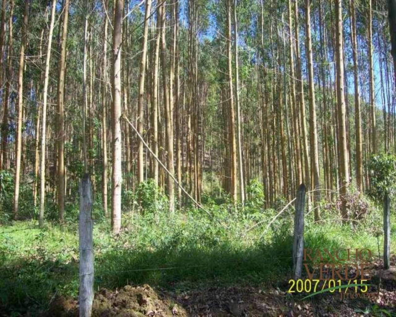 Fazenda de 209 ha em Tremembé, SP