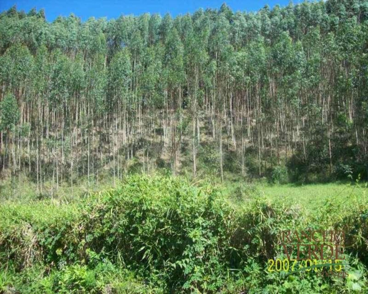 Fazenda de 209 ha em Tremembé, SP