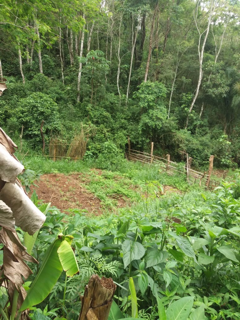 Chácara de 5.000 m² em Monteiro Lobato, SP