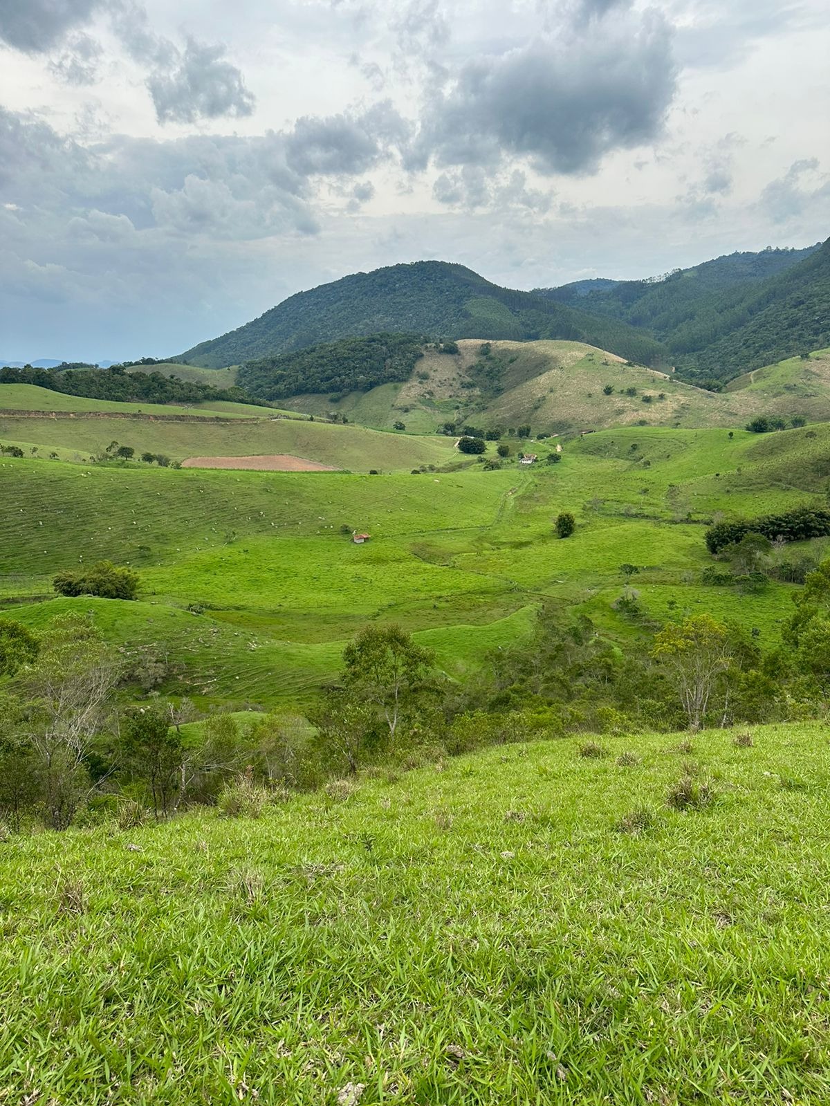 Fazenda de 73 ha em Natividade da Serra, SP