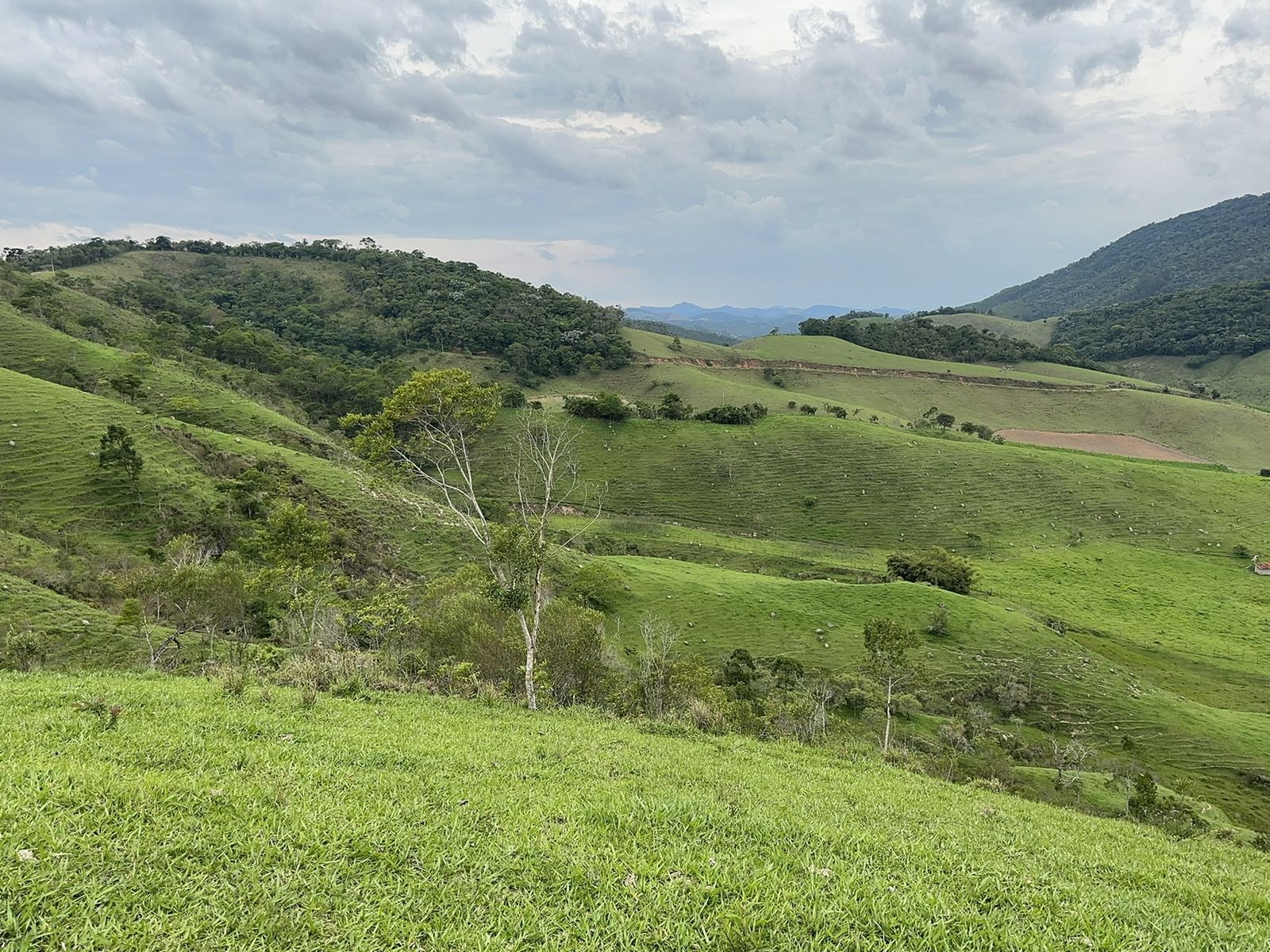 Fazenda de 73 ha em Natividade da Serra, SP