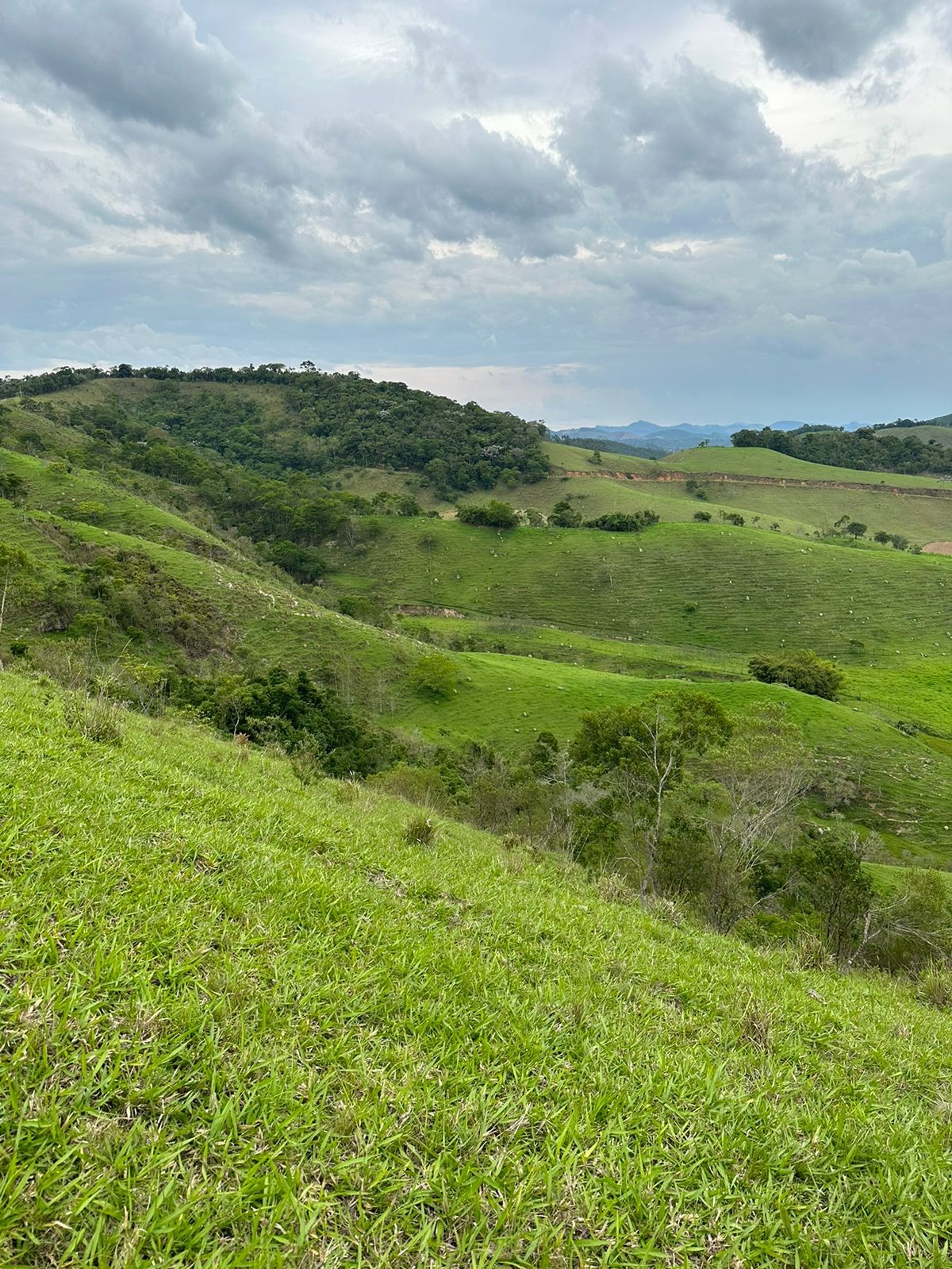 Fazenda de 73 ha em Natividade da Serra, SP