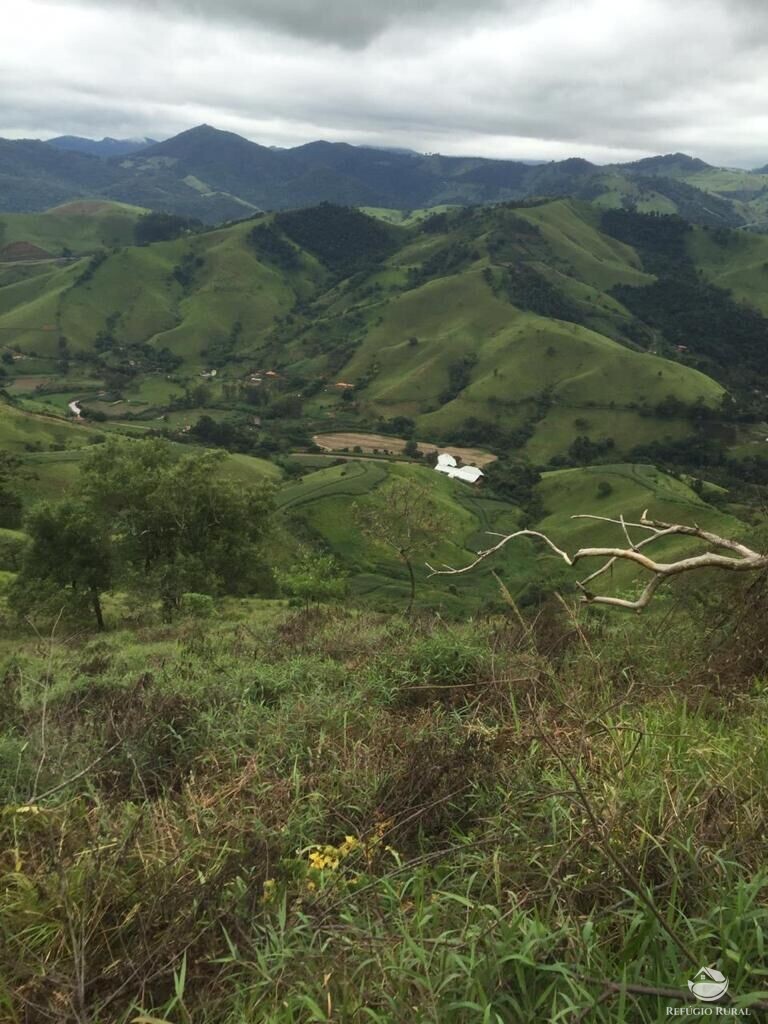 Sítio de 86 ha em Itajubá, MG