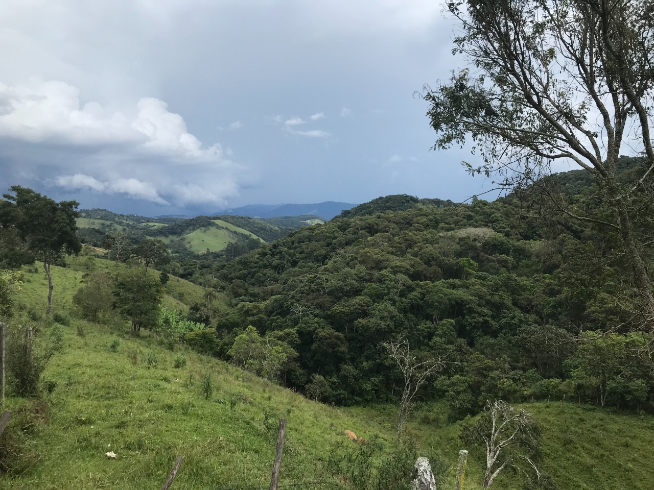 Terreno de 5 ha em Santo Antônio do Pinhal, SP