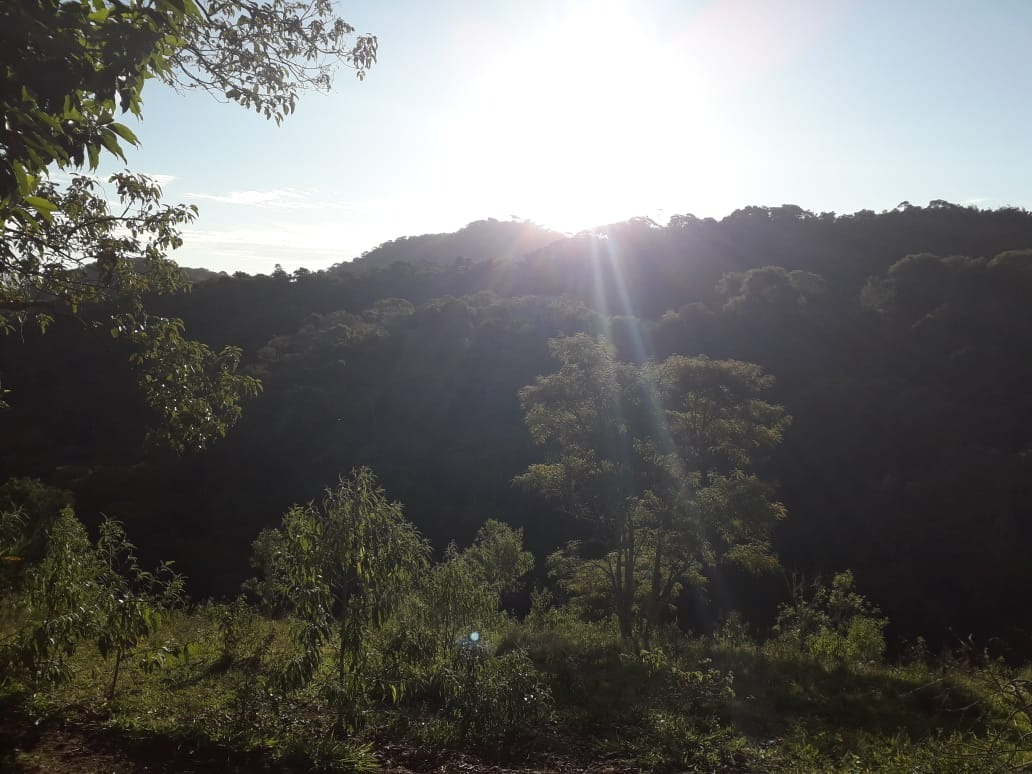 Terreno de 5 ha em Santo Antônio do Pinhal, SP