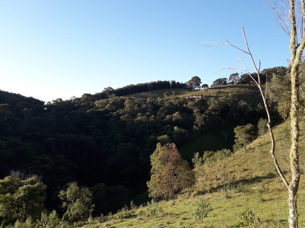 Terreno de 5 ha em Santo Antônio do Pinhal, SP