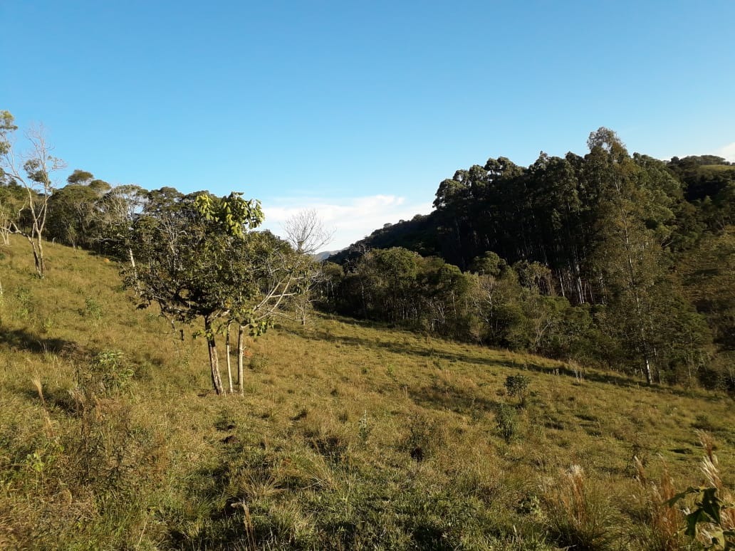 Terreno de 5 ha em Santo Antônio do Pinhal, SP