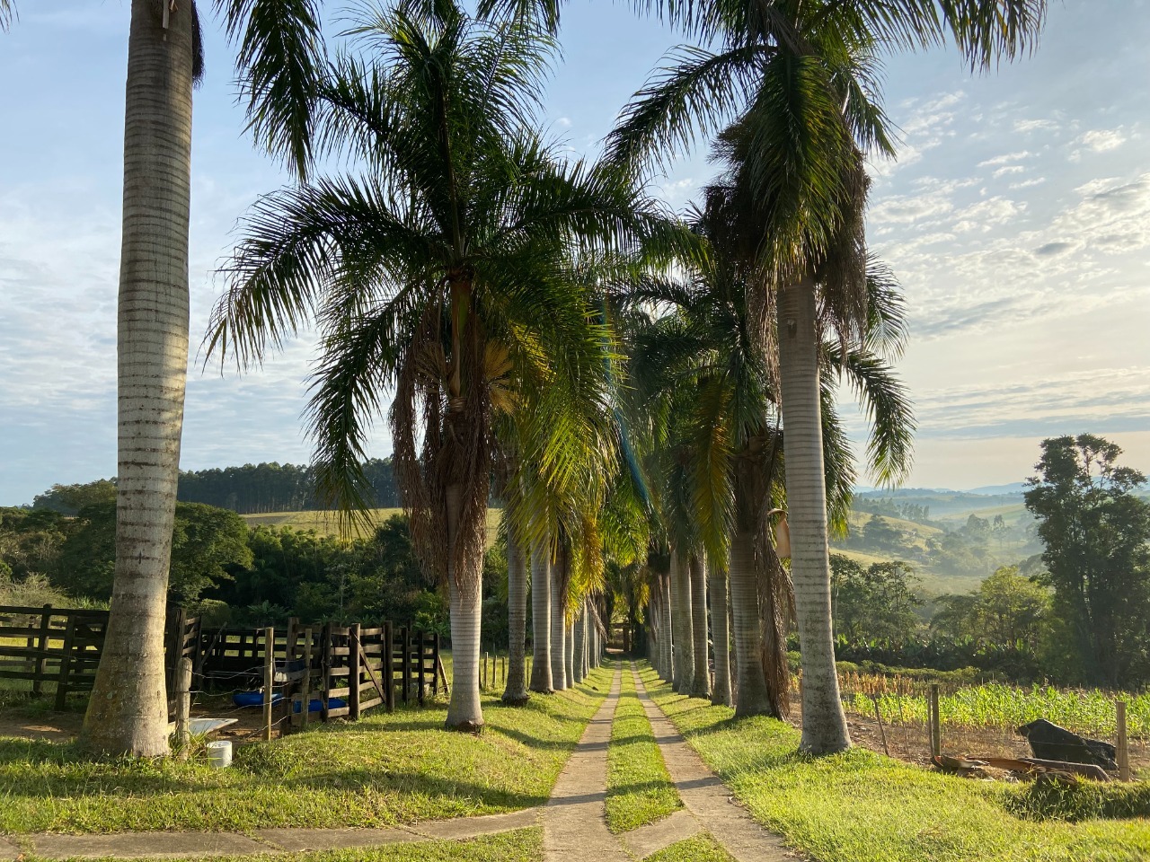 Sítio de 3 ha em Paraibuna, SP