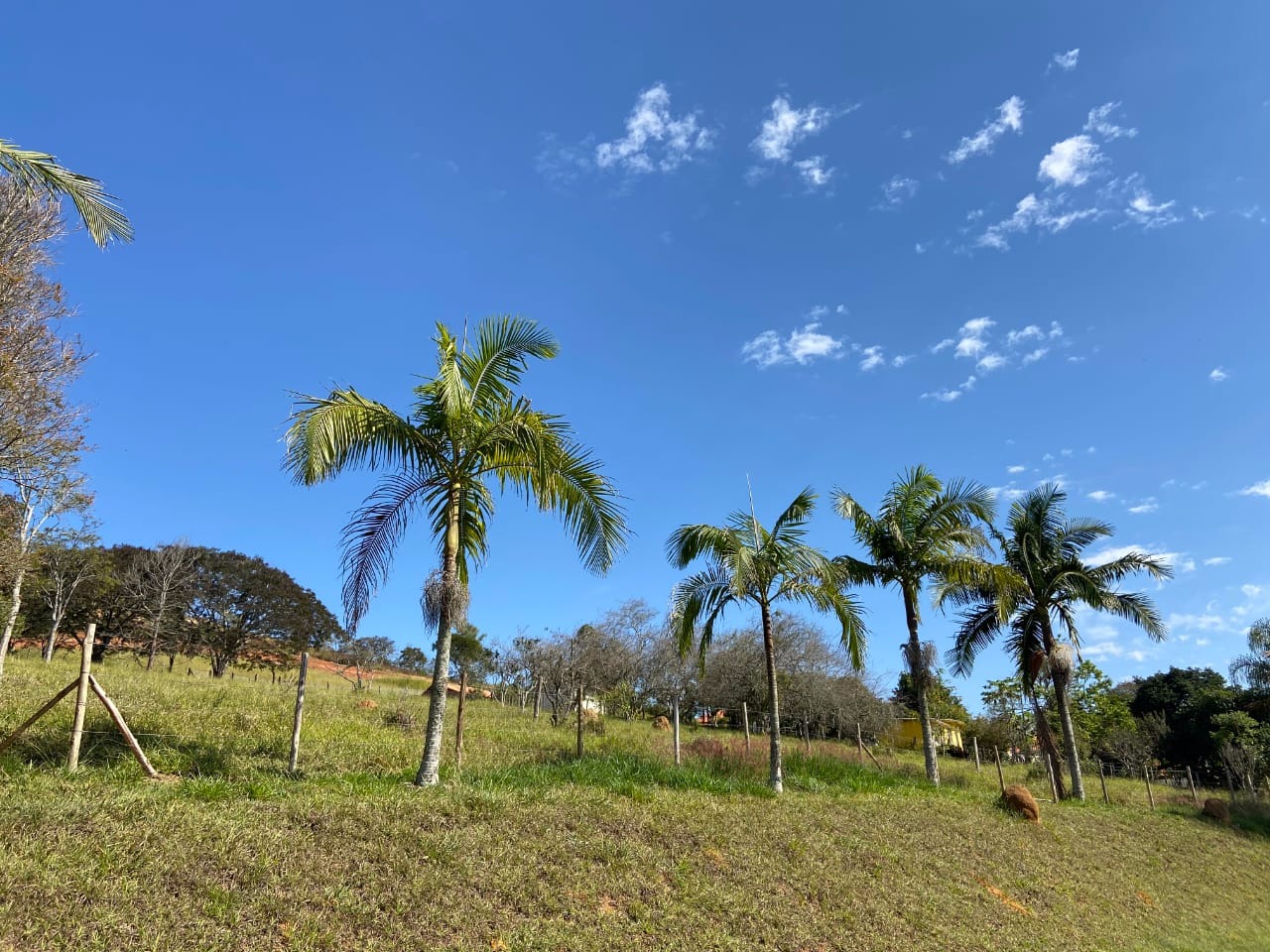 Sítio de 3 ha em Paraibuna, SP