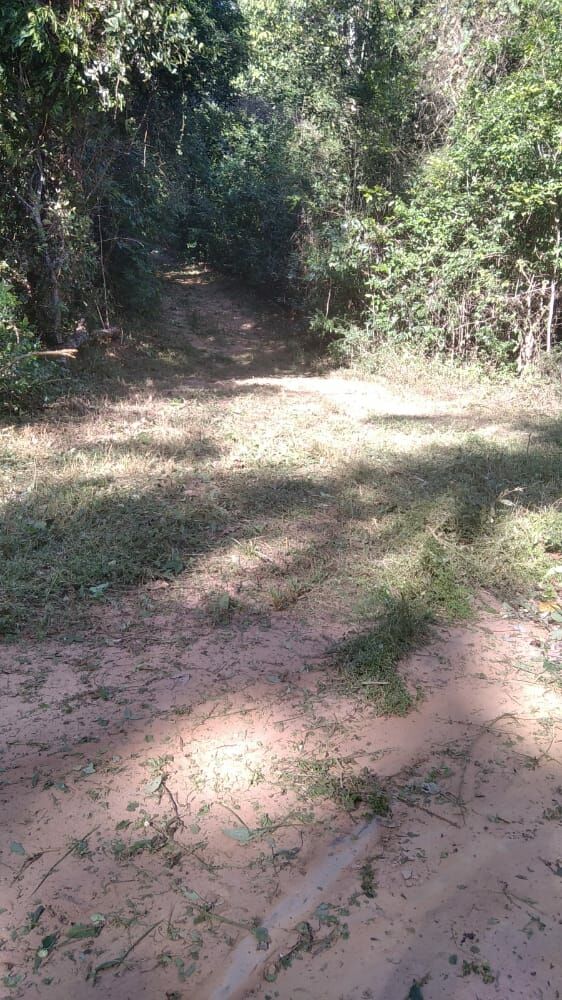 Fazenda de 496 ha em Andaraí, BA