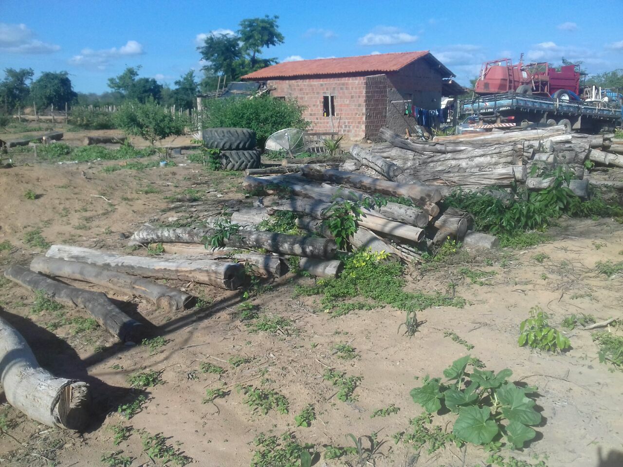 Fazenda de 496 ha em Andaraí, BA