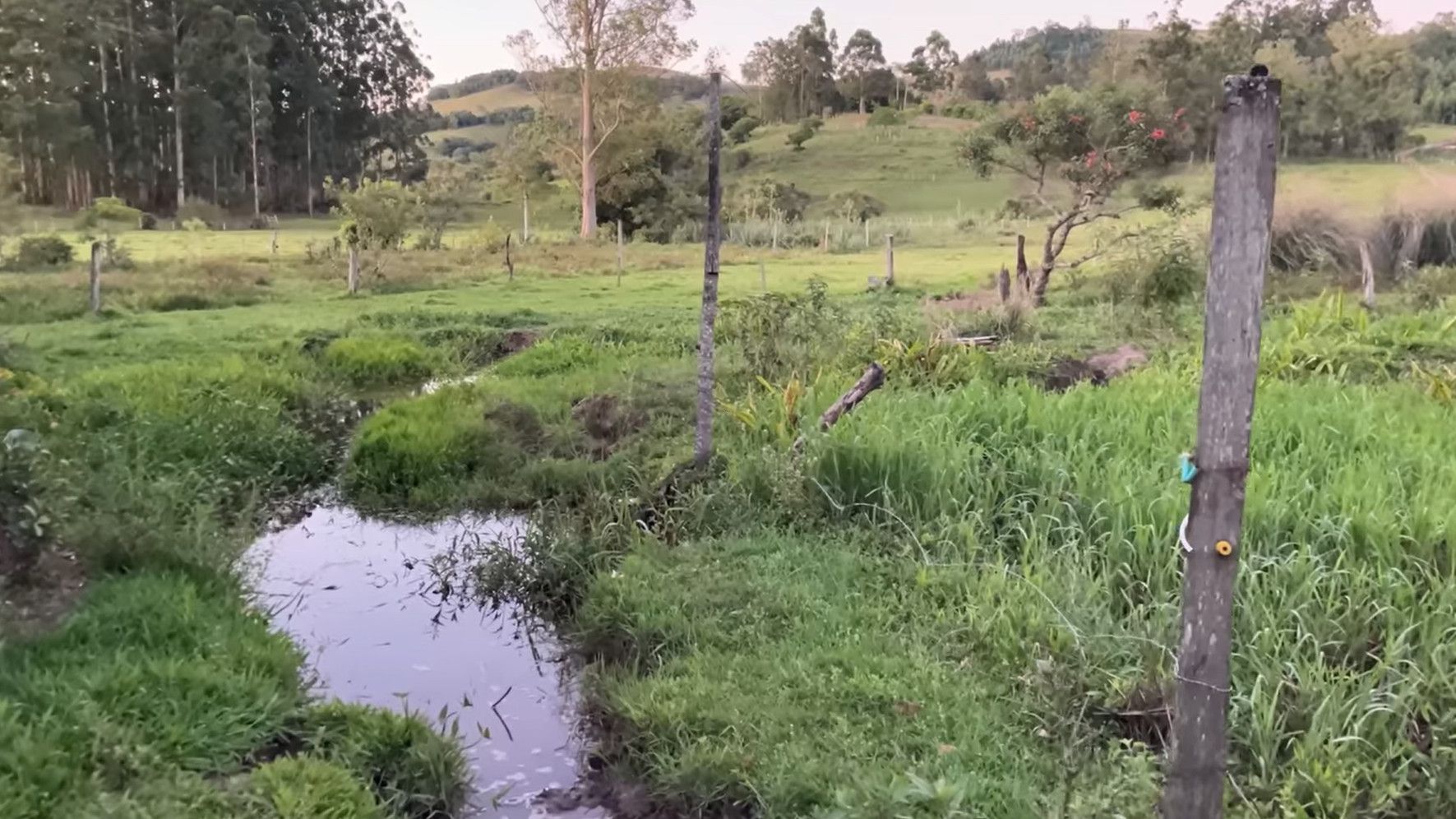 Chácara de 2 ha em Santo Antônio da Patrulha, RS