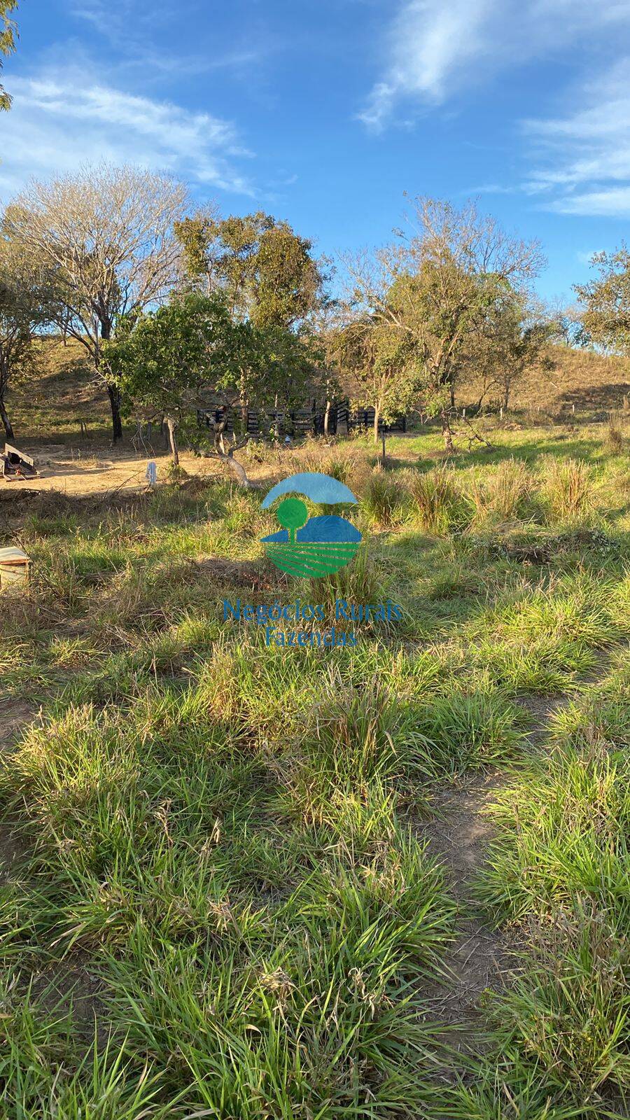 Fazenda de 160 ha em Niquelândia, GO