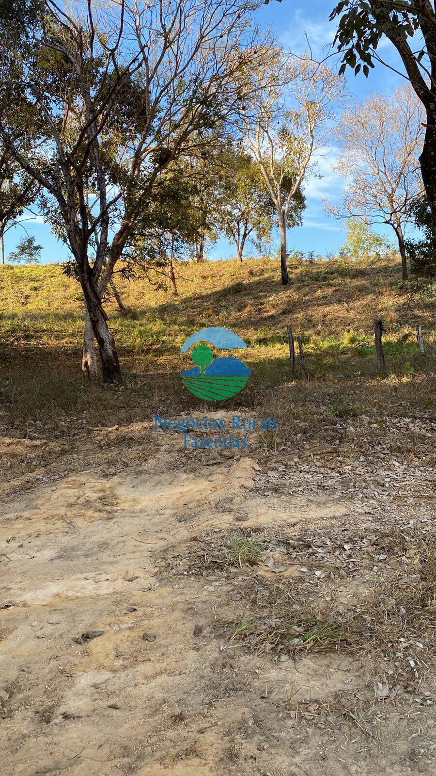 Fazenda de 160 ha em Niquelândia, GO