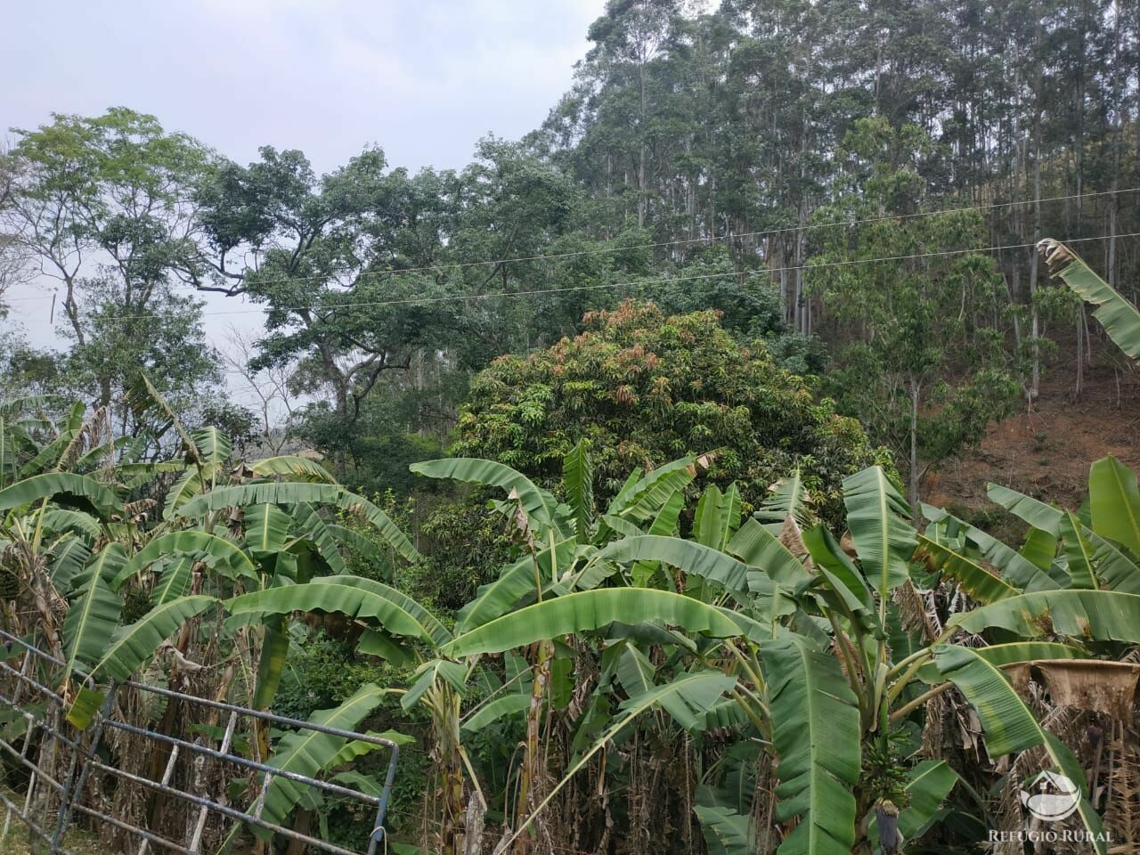 Sítio de 26 ha em Monteiro Lobato, SP